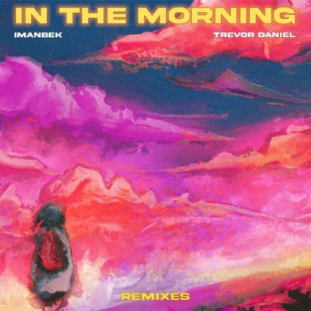 Imanbek & Trevor Daniel - In the Morning (Alexander Popov Remix)