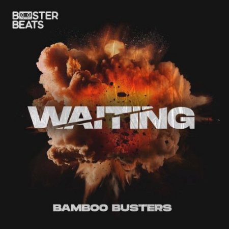 Bamboo Busters - Waiting