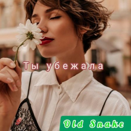 Old Snake - Ты Убежала