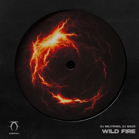 DJ Nejtrino & Dj Baur - Wild