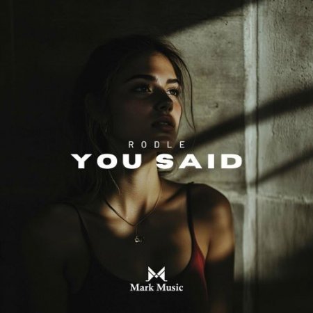 Rodle - You Said - Rodle - You Said