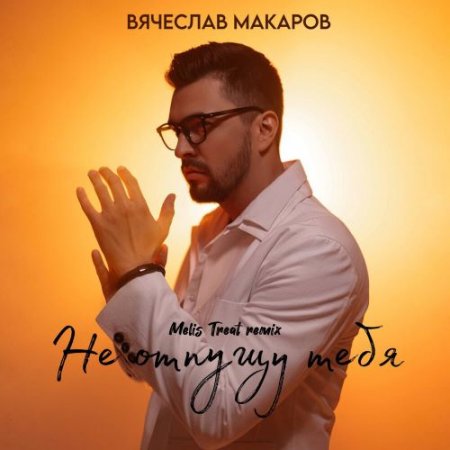 Вячеслав Макаров - Не отпущу тебя (Remix by Melis Treat)