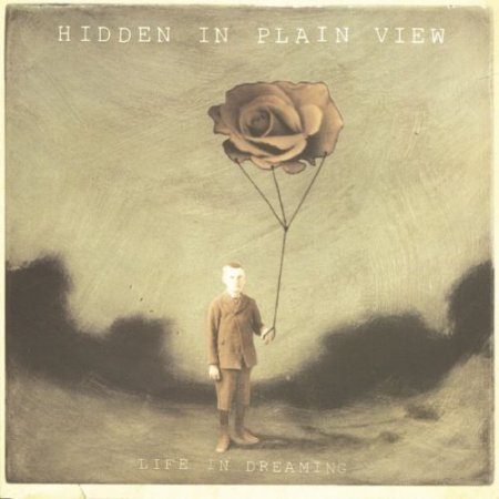 Hidden in Plain View - Bleed For You