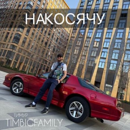 Тимур TIMBIGFAMILY - Накосячу