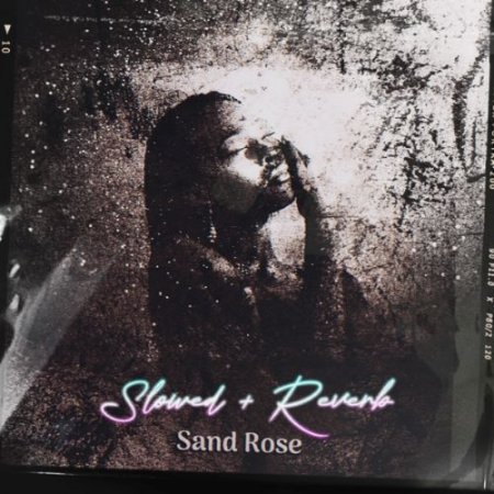 MsE - Sand Rose (Slowed & Reverb)